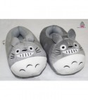 Ciabatte Totoro