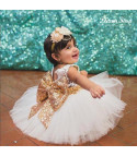 Little princess dress