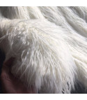 Maxipelliccia in lana riccia