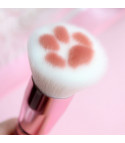 Brushes makeup paw cat