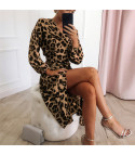Jui leopard dress