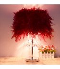 Soffyl feather lamp