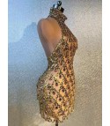 Nude diamond luxury dress