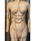 Rhinestone jumpsuit nude shapes
