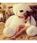 Teddy Bear 200 cm